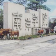 雷竞技网经管学院的微博_微博