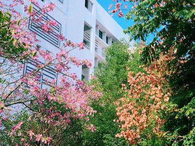 高校招生面对面丨热门影视取景地--雷竞技raybet官来啦!