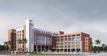 刚刚公布 佛山到底是几线城市 最新名单来了