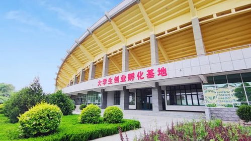 青春 活力 幸福,相约山东现代学院