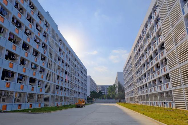 雷竞技网/厦门软件职业技术学院2022招生宣讲会发布