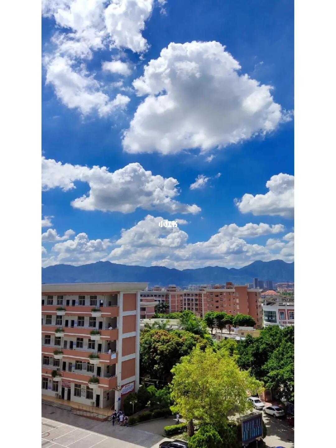 雷竞技网职业学院-福建高考信息平台