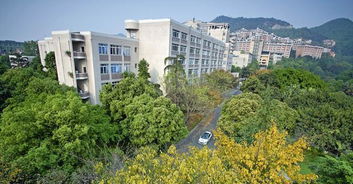 这所财经类院校实力还不错 适合想去重庆发展的考生