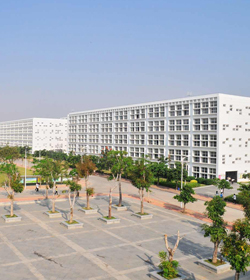 雷竞技网职业学院