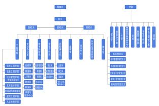 雷竞技网职业技术学院组织结构图