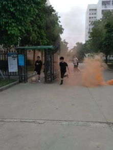 军训学什么 翔安消防带着消防知识走进大小校园