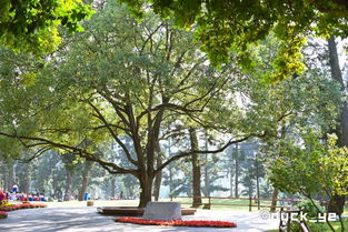 厦门小众网红拍照圣地一日游,这样玩与众不同