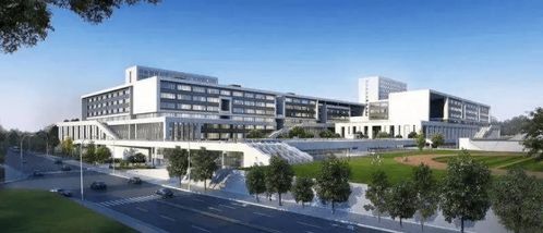 2024年在售户型 样板间图 户型展示 实时动态 项目详情