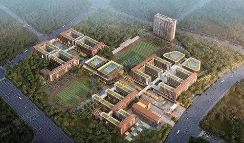 加速扩张 华师系4所新学校明后年迎来开学,在这几个区