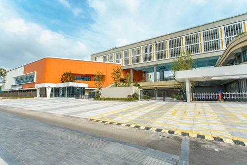 江北这所九年一贯制学校9月正式投用 大量现场图来了