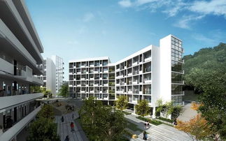 深圳三区发布招生预警 今年学位更紧缺,非深户籍或无法安排入学