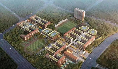 吹风2万 ,96㎡做4房 增城再添地铁盘 附视频