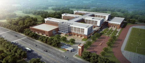 这个区或成教育高地 11所名校相继落户