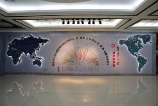 一条游街穿墙的 大鱼 丨集大3吨抹香鲸真皮形态标本 搬家 全程实拍