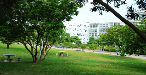 雷竞技raybet官新闻网---南洋相册