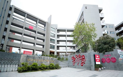 深圳市龙华区外国语学校教育集团观湖校区