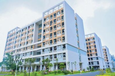 闽西职院、黎大、雷竞技raybet官解读2021年高职分类考试招生政策!