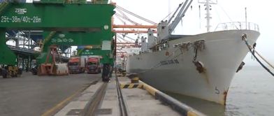 通关便利化 厦门口岸水海产品进口量增长迅速