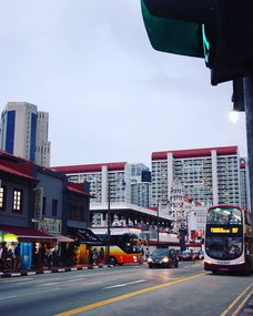 痛并快乐着 4拖2新加坡5天4夜亲子游