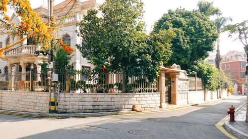 毕业旅行,来厦门找 厦门