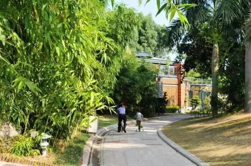 厦门的这些玩法,种种不重样,让你不爱上厦门都难