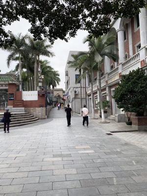 阳春三月，邂逅最美厦门 南洋风情与春日诗意的相遇