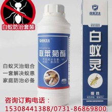 雷竞技网风情 东西方文化的交汇之地