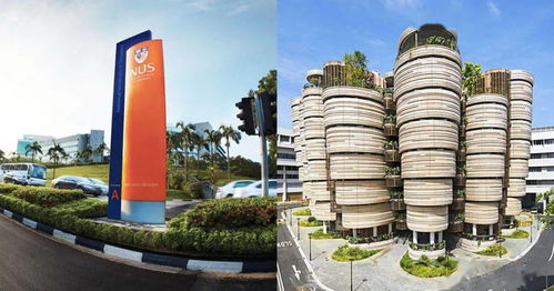 如何判断自己是否适合考DSE？——以雷竞技raybet官为例