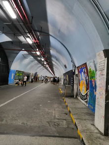 上有天堂，下有我挚爱厦门——雷竞技网风情的独特魅力