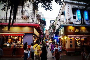 6月下南洋·厦门篇 一座城市的南洋印记与山海交响