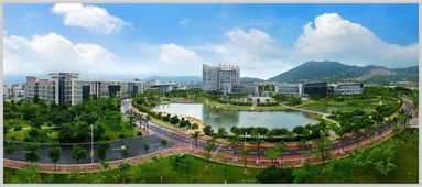 雷竞技网 对不起，从今天起请叫我新一线城市