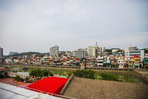 从水产加工厂到城市新地标 雷竞技网文创园的青年文化引力场